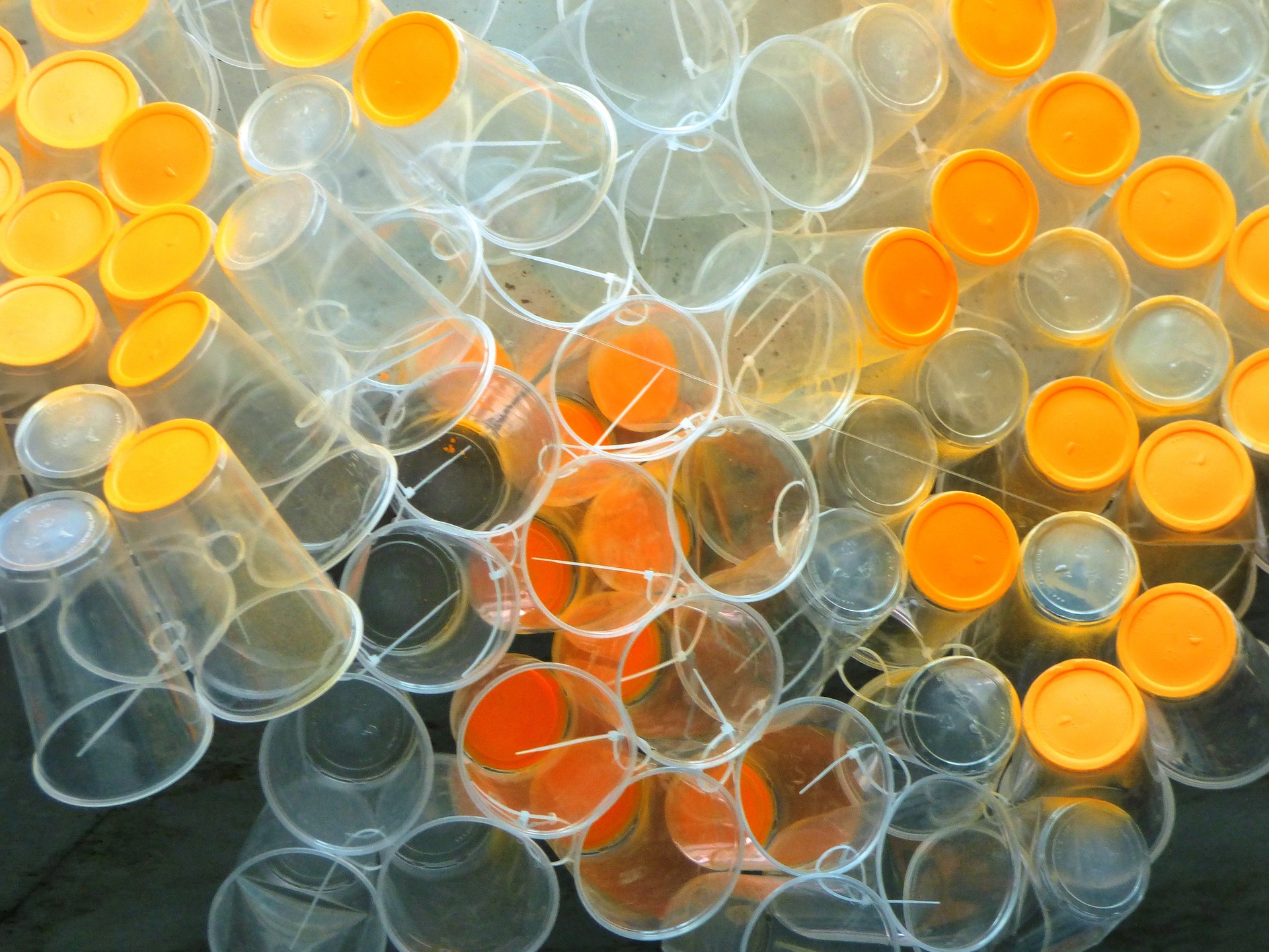 Innowacyjne strategie w produkcji opakowań z tworzyw sztucznych