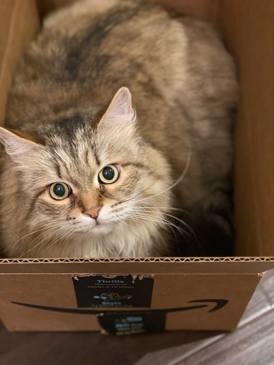 Efektywne zarządzanie procesem przeprowadzki