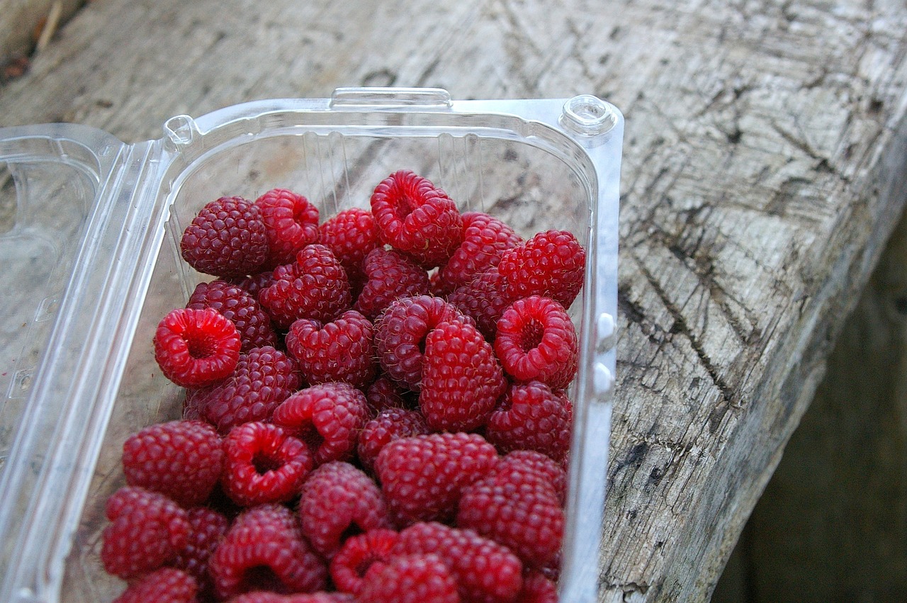 Trendy i innowacje w przemyśle opakowaniowym w stolicy Wielkopolski